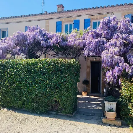 Des Glycines Salon-de-Provence